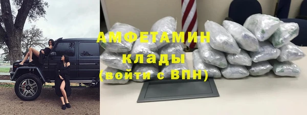 молекула духа Арсеньев