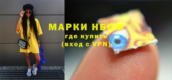 молекула духа Арсеньев