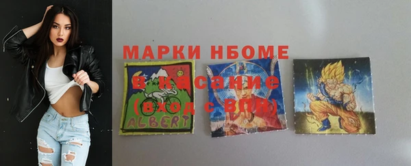 молекула духа Арсеньев