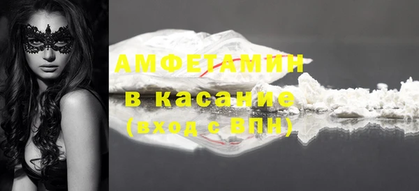 молекула духа Арсеньев