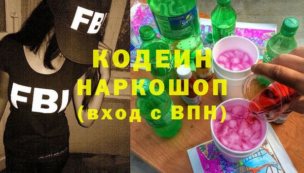 молекула духа Арсеньев