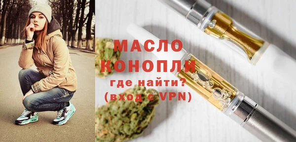 молекула духа Арсеньев