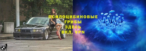 шишки Армянск