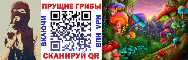 Псилоцибиновые грибы мухоморы  МЕГА tor  Пошехонье 