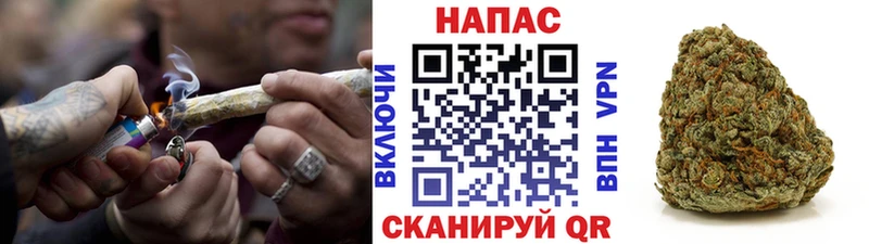 Канабис сатива  Пошехонье 